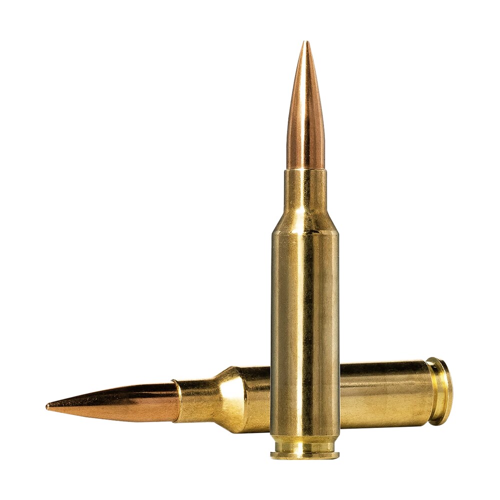 norma ammunition 10166312 dedicated precision golden target match 6.5creedmoor 130gr boat tail hollow point 20 per box/10 case Norma Ammunition 10166312 Dedicated Precision Golden Target Match 6.5Creedmoor 130gr Boat Tail Sports South item 109038