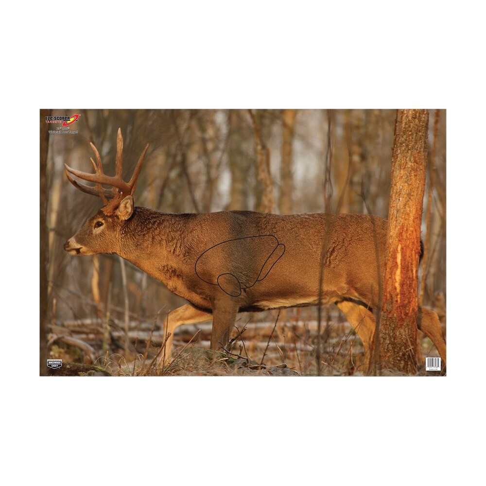 birchwood casey 37481 eze scorer whitetail deer paper hanging 23" x 35" multi color 2 per pkg Birchwood Casey 37481 EZE-Scorer Whitetail Deer Paper Hanging 23" x 35" Multi-Color 2 Per Pkg Sports South item 115791