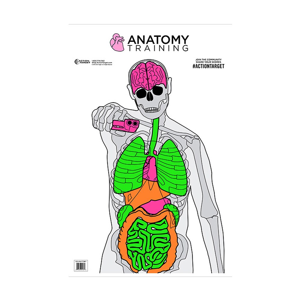 action target gsanatomy100 entertainment training silhouette/vitals paper target 23" x 35" 100 per box Action Target GSANATOMY100 Entertainment Training Silhouette/Vitals Paper Target 23" x 35" 100 Sports South item 116067