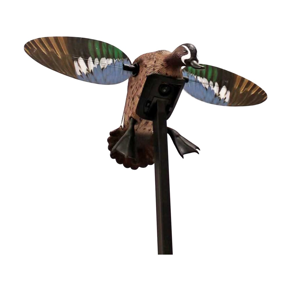 mojo outdoors hw24753p elite series blue wing teal duck species multi color plastic features remote control Mojo Outdoors HW24753P Elite Series Blue Wing Teal Duck Species Multi Color Plastic Features Sports South item 118816