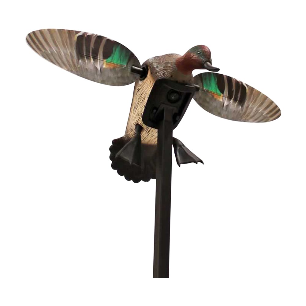 mojo outdoors hw24743p elite series green winged teal duck species natural molded plastic features remote compatible Mojo Outdoors HW24743P Elite Series Green Winged Teal Duck Species Natural Molded Plastic Sports South item 120740