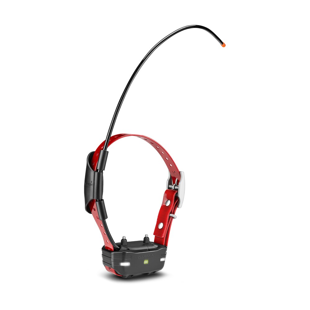 garmin 0100120920 tb10 dog device collar red w/tri tronics, remote operated led beacon lights, built in barklimiter rechargeable li ion 4 mile range Garmin 0100120920 TB10 Dog Device Collar Red Sports South item 125192