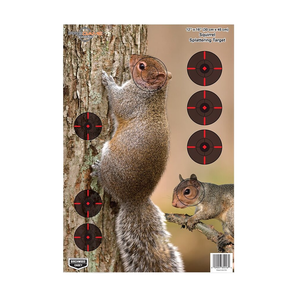birchwood casey 35406 pregame squirrel paper hanging rifle 12" x 18" impact enhancement 8 per pkg Birchwood Casey 35406 Pregame Squirrel Paper Hanging Rifle 12" x 18" Impact Enhancement 8 Per Sports South item 136567