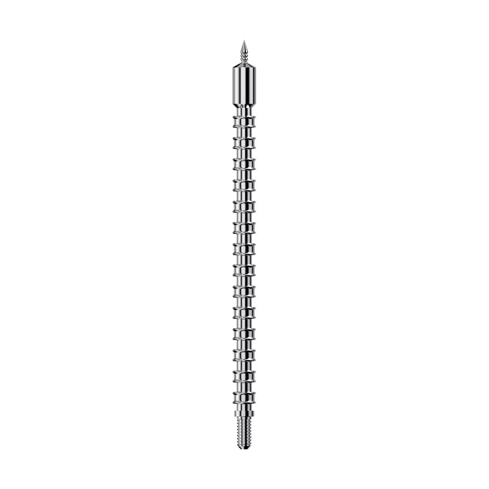 real avid avbmjag65mm bore max speed jag 6.5mm/260 cal rifle firearm 8 32" thread nickel plated includes 25 speed patches Real Avid AVBMJAG65MM Bore-Max Speed Jag 6.5mm/260 Cal Rifle Firearm 8-32" Thread Nickel-Plated Sports South item 138368