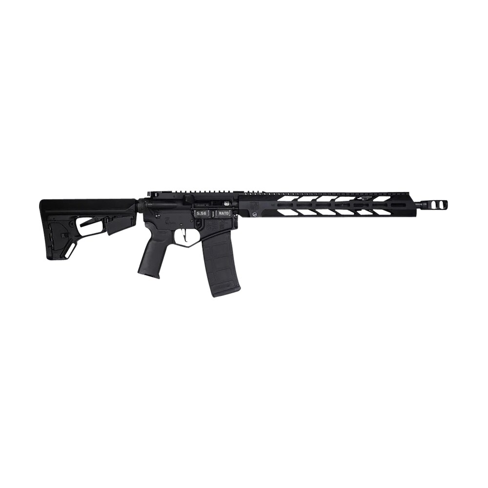 diamondback db1758k001 db15 5.56x45mm nato 16" 30+1 black adjustable magpul acs l stock black magpul moe k2+ grip Diamondback DB1758K001 DB15 5.56x45mm NATO 16" 30+1 Black Adjustable Magpul ACS-L Stock Black Sports South item 141072