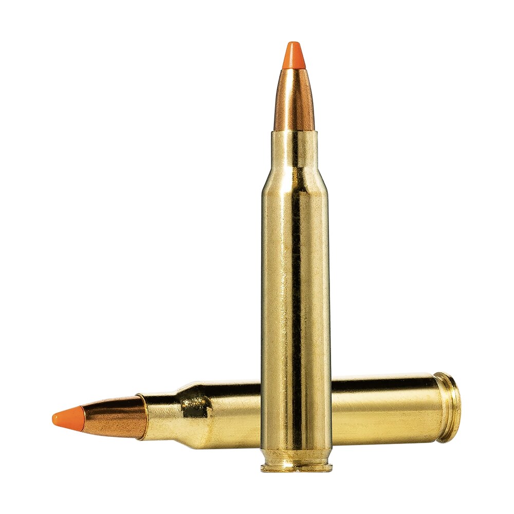 norma ammunition 20157352 dedicated hunting varmint 223rem 55gr polymer tip 20 per box/10 case Norma Ammunition 20157352 Dedicated Hunting Varmint 223Rem 55gr Polymer Tip 20 Per Box/10 Case Sports South item 156104