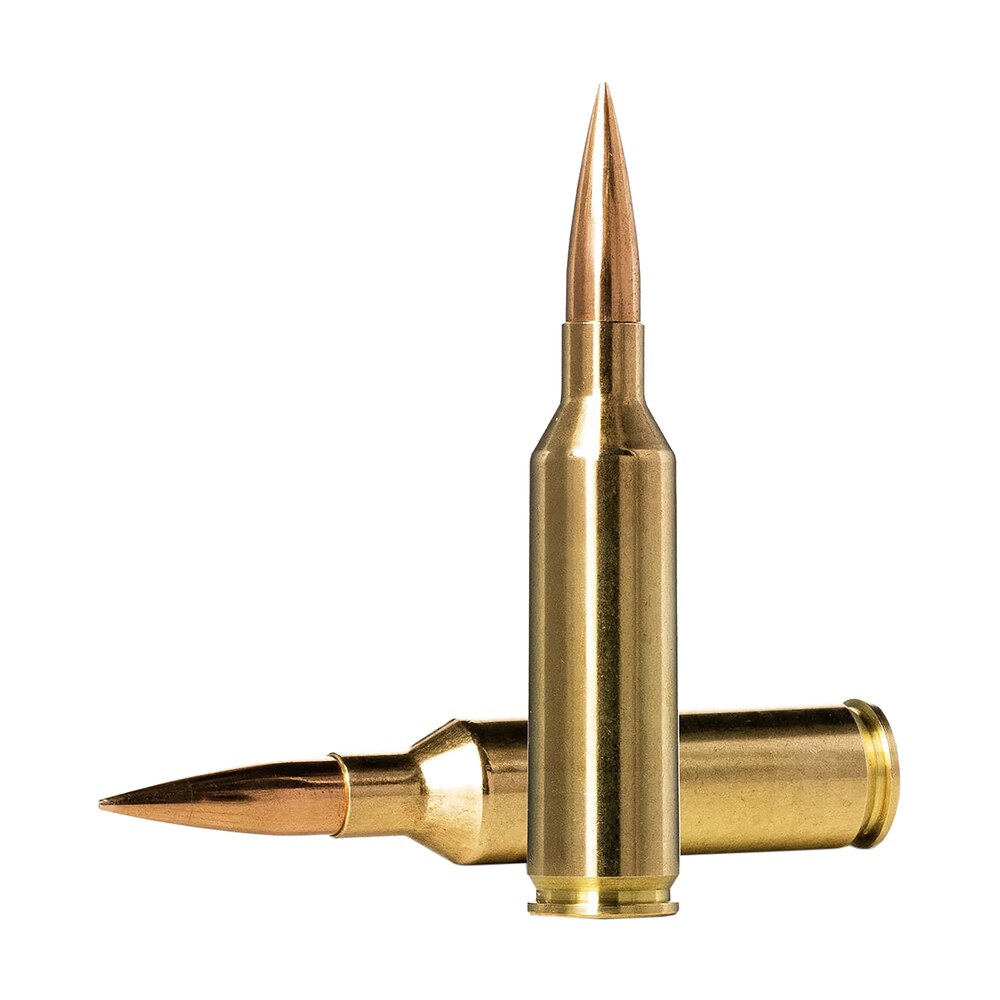 norma ammunition 10166462 dedicated precision golden target match 6.5prc 143gr hollow point boat tail 20 per box/10 case Norma Ammunition 10166462 Dedicated Precision Golden Target Match 6.5PRC 143gr Hollow Point Sports South item 156108