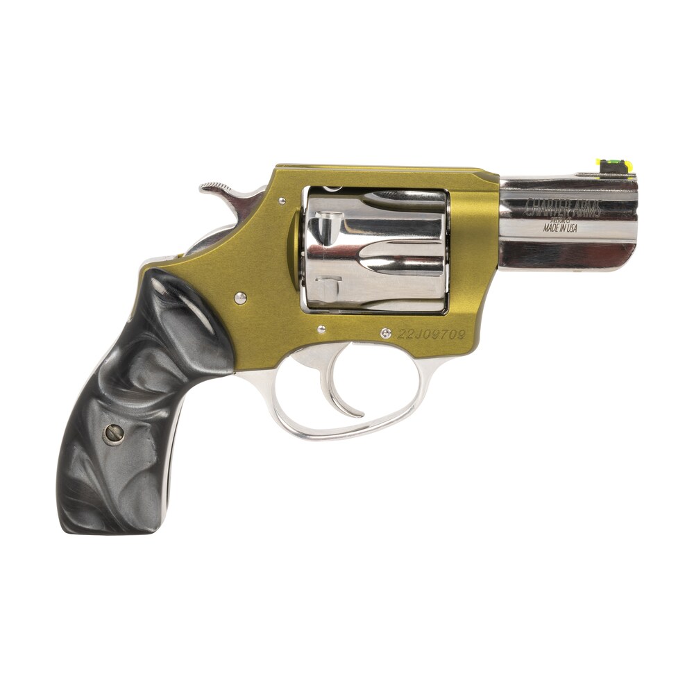 charter arms 53624 undercover ii large 38 special, 6 shot 2.20" high polished stainless steel barrel & cylinder, od green anodized aluminum frame, black pearlite grip, exposed hammer Charter Arms 53624 Undercover II Large 38 Special, 6 Shot 2.20" High Polished Stainless Steel Sports South item 157361