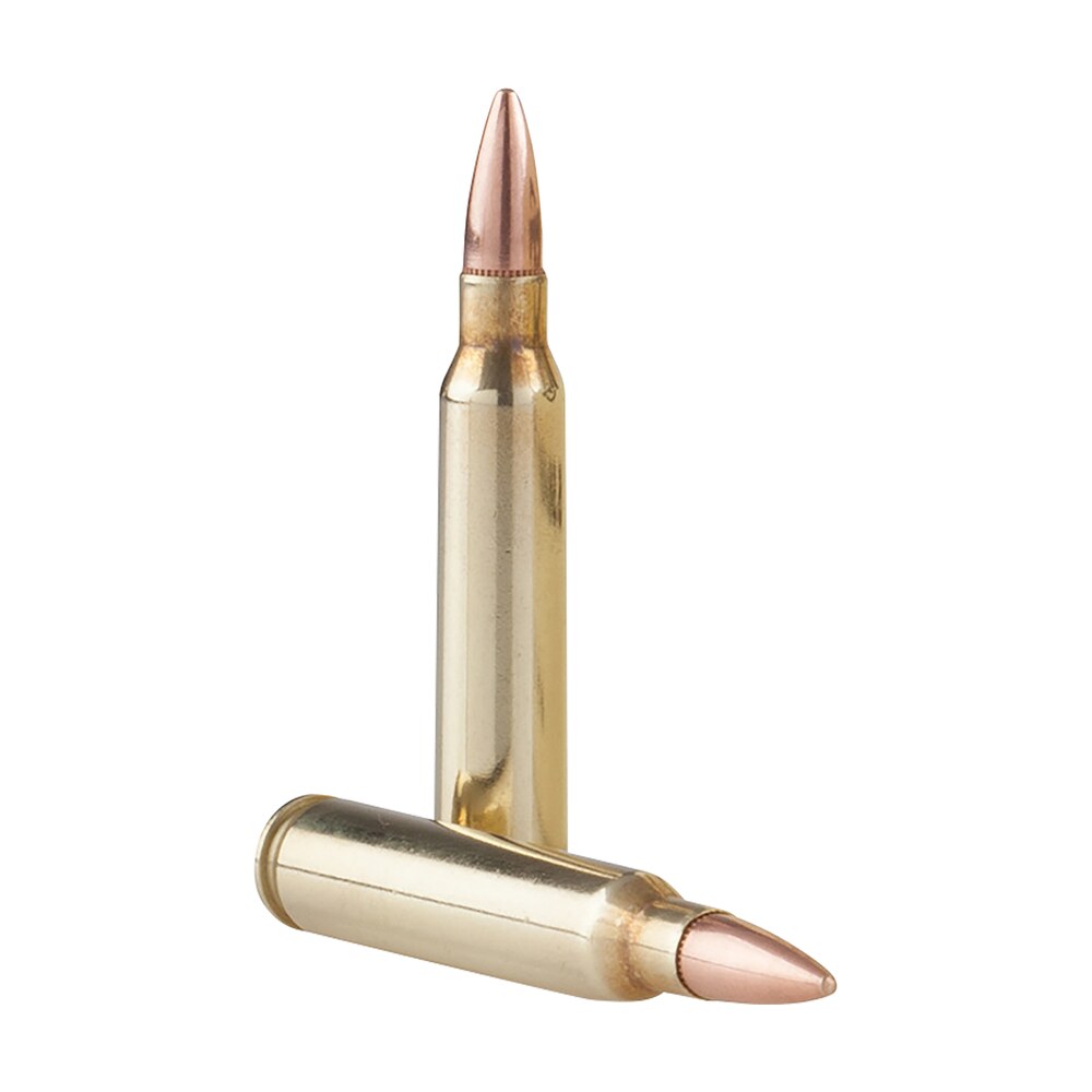 tr&z pprm5561p range master 5.56x45mm nato 55 gr full metal jacket boat tail 125 per box/ 4 case TR&Z PPRM5561P Range Master 5.56x45mm NATO 55 gr Full Metal Jacket Boat Tail 125 Per Box/ 4 Sports South item 163918