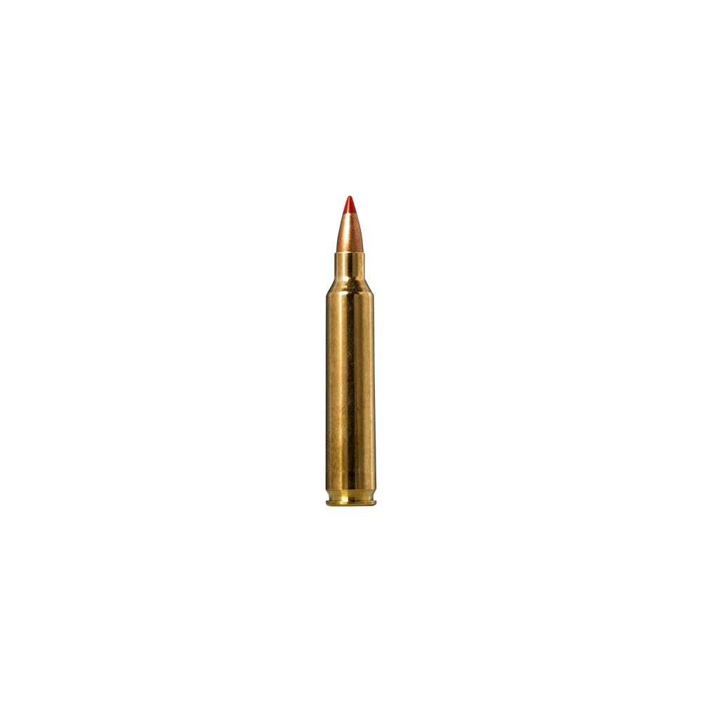 norma ammunition 20156502 tipstrike 204ruger 40gr v max 20 per box/10 case Norma Ammunition 20156502 Tipstrike 204Ruger 40gr V-Max 20 Per Box/10 Case Sports South item 164626