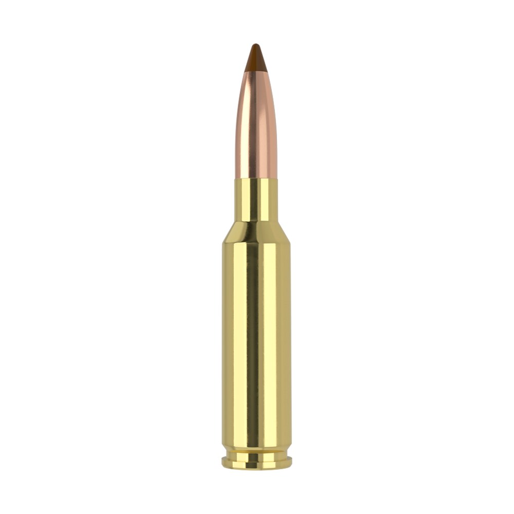 nosler 61053 6.5x55swedish 140gr ballistic tip 20 per box/10 case Nosler 61053 6.5x55Swedish 140gr Ballistic Tip 20 Per Box/10 Case Sports South item 165840