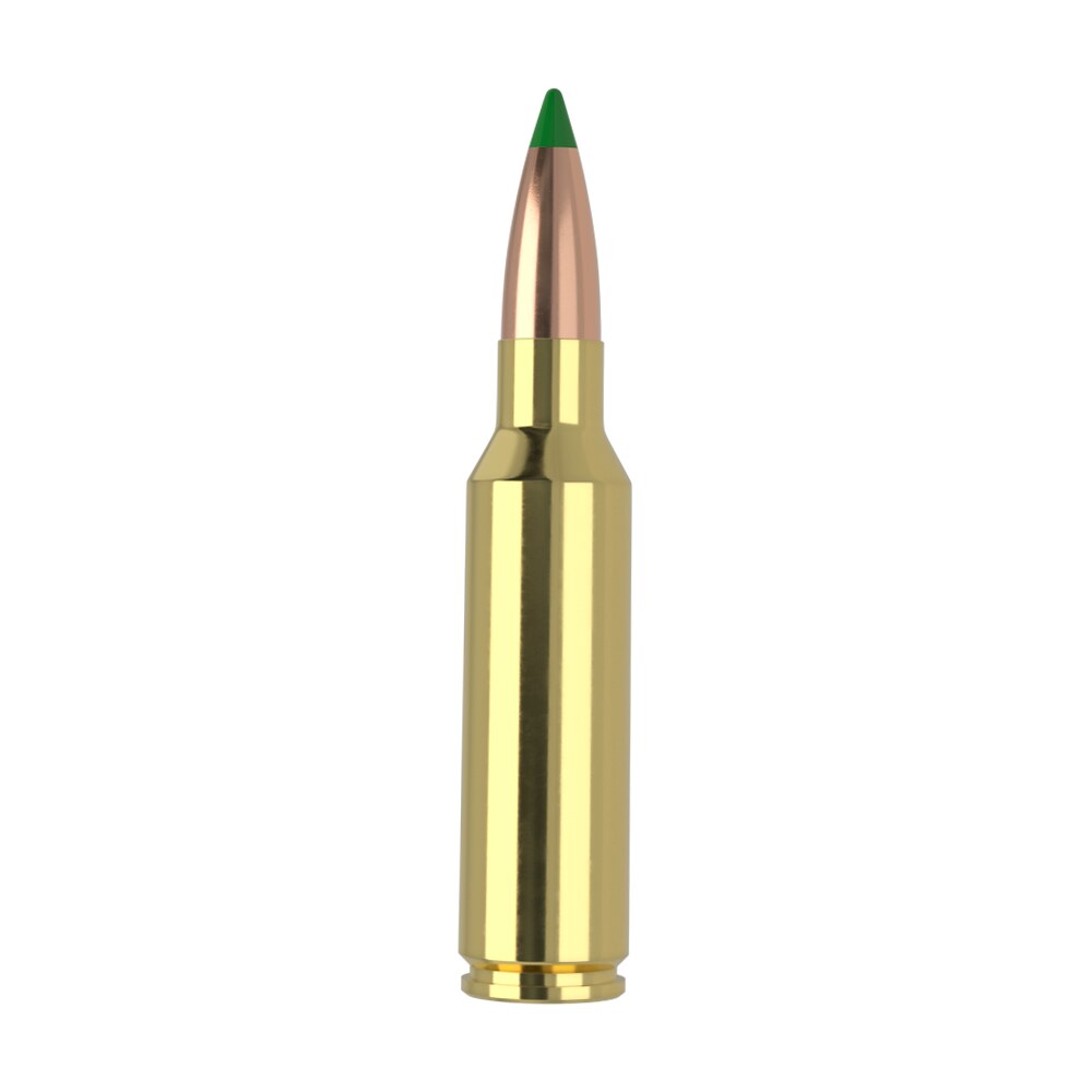 nosler 61035 300wsm 165gr ballistic tip 20 per box/10 case Nosler 61035 300WSM 165gr Ballistic Tip 20 Per Box/10 Case Sports South item 165841