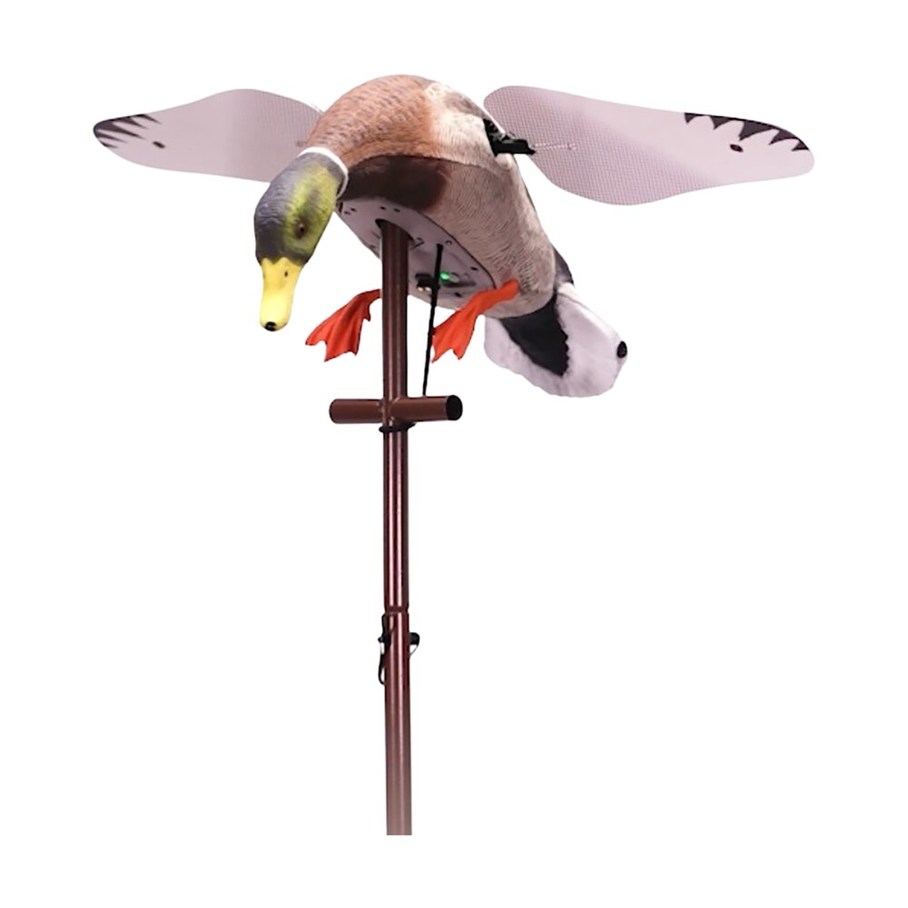 higdon outdoors 55054 flasher pro mallard drake species multi color includes remote Higdon Outdoors 55054 Flasher Pro Mallard Drake Species Multi-Color Includes Remote Sports South item 179246