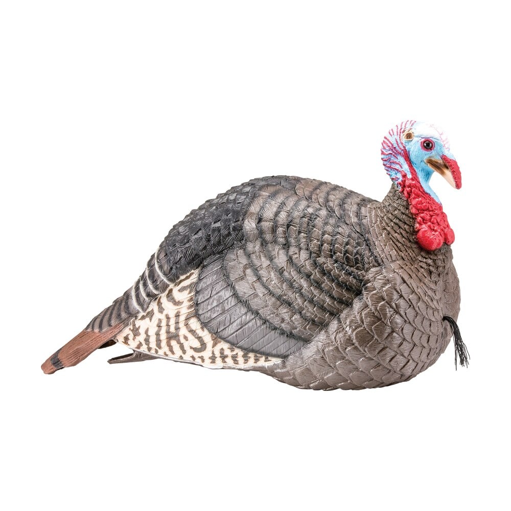 hs strut 100003 strut lite jake wild turkey species multi color synthetic HS Strut 100003 Strut-Lite Jake Wild Turkey Species Multi Color Synthetic Sports South item 30713