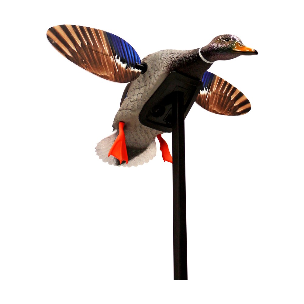 mojo outdoors hw24703p elite series mini mallard drake species multi color plastic Mojo Outdoors HW24703P Elite Series Mini Mallard Drake Species Multi Color Plastic Sports South item 58506